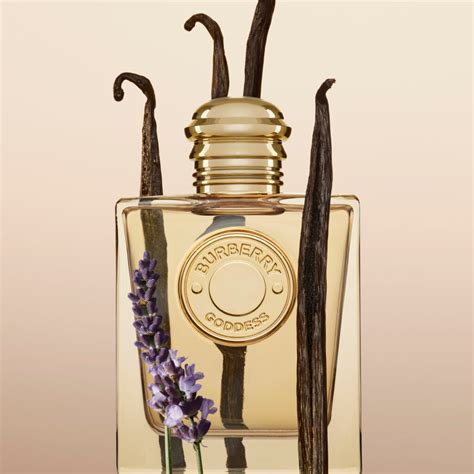 new burberry perfume goddess|Burberry brit perfumes for women.